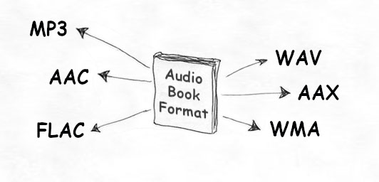 Audiobook formats