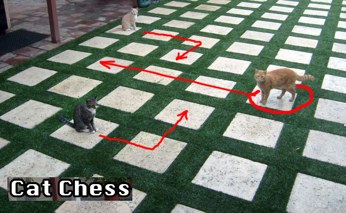 Bogart 9 Cat Chess
